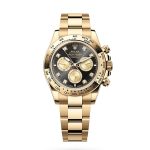 Rolex Cosmograph Daytona in Gold, M126508-0003 | Swiss Watch